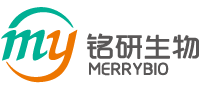 抗体开发-抗体表达-重组抗体工程服务提供商-南京铭研生物